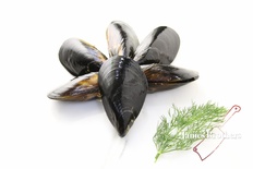 Fresh Large Local Mussels 1kg pack (Price per 1kg Pack)