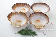 Fresh Tasmanian Scallop Meat (Price per 500g Serve)